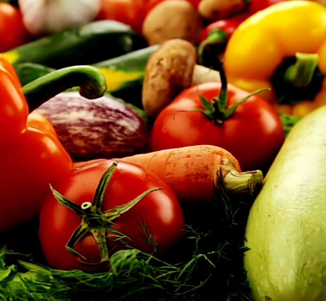 生産者のミライEXPO・講演「なぜ僕は野菜を栽培するのか」